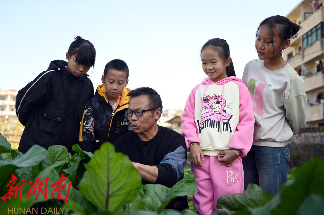 湖南新邵:把教育课堂“搬”进田间地头_邵阳头条网